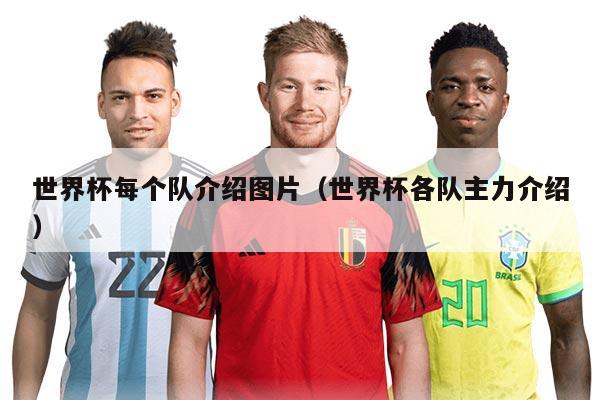 世界杯每个队介绍图片（世界杯各队主力介绍）