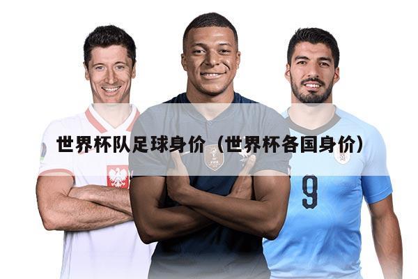 世界杯队足球身价（世界杯各国身价）