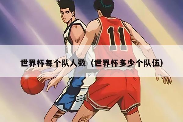 世界杯每个队人数（世界杯多少个队伍）