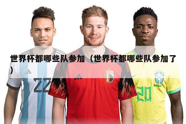 世界杯都哪些队参加（世界杯都哪些队参加了）