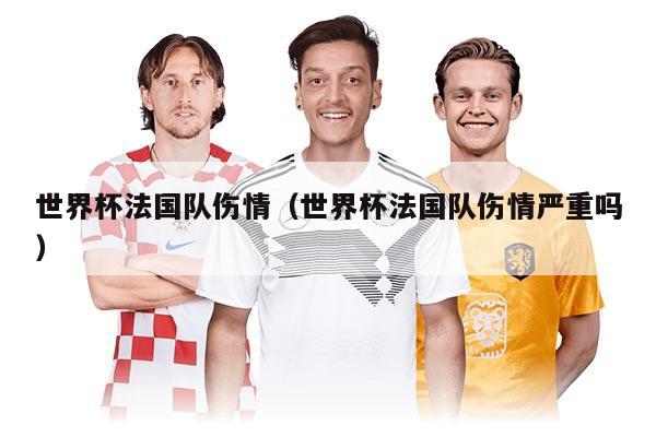 世界杯法国队伤情（世界杯法国队伤情严重吗）