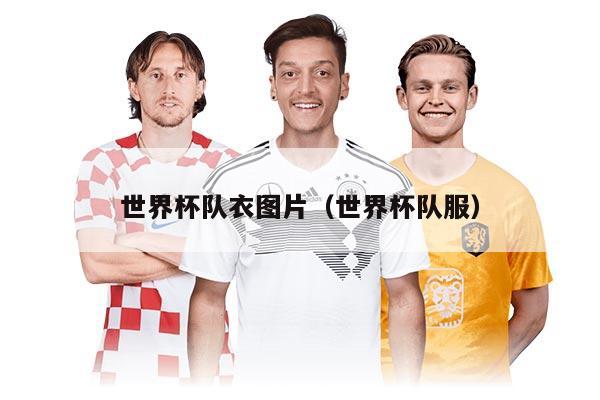 世界杯队衣图片（世界杯队服）