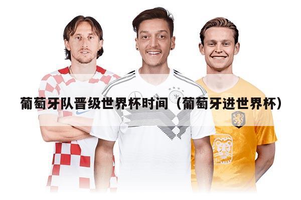 葡萄牙队晋级世界杯时间（葡萄牙进世界杯）