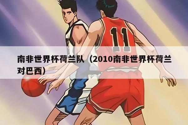 南非世界杯荷兰队（2010南非世界杯荷兰对巴西）