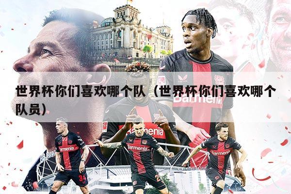 世界杯你们喜欢哪个队（世界杯你们喜欢哪个队员）