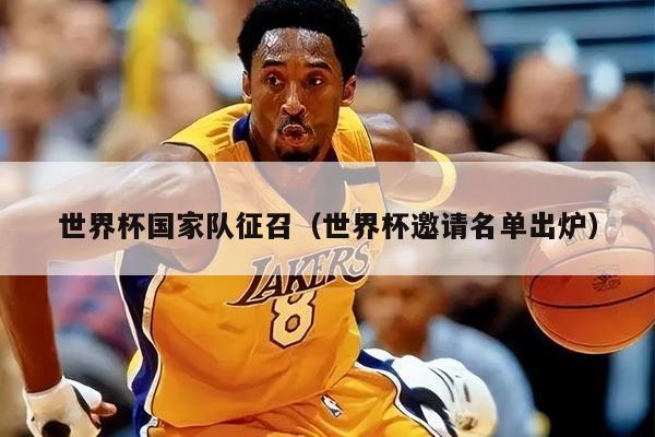 世界杯国家队征召（世界杯邀请名单出炉）