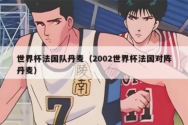 世界杯法国队丹麦（2002世界杯法国对阵丹麦）