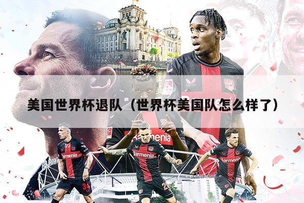 美国世界杯退队（世界杯美国队怎么样了）