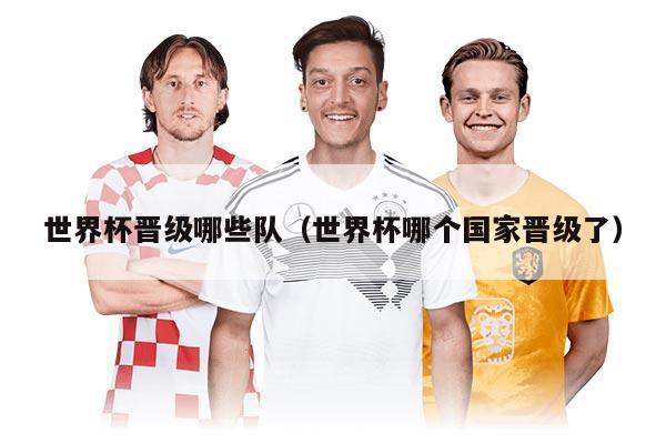 世界杯晋级哪些队（世界杯哪个国家晋级了）
