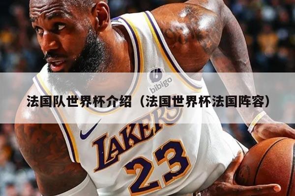 法国队世界杯介绍（法国世界杯法国阵容）