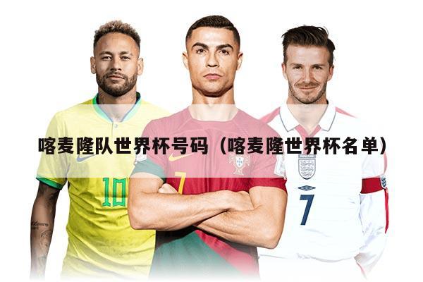 喀麦隆队世界杯号码（喀麦隆世界杯名单）