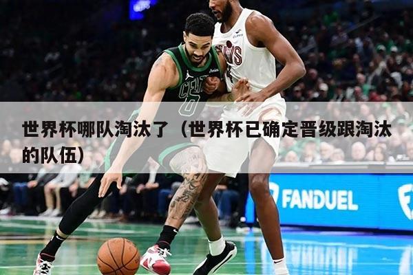 世界杯哪队淘汰了（世界杯已确定晋级跟淘汰的队伍）